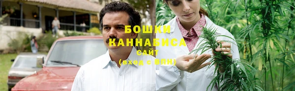 PSILOCYBIN Баксан
