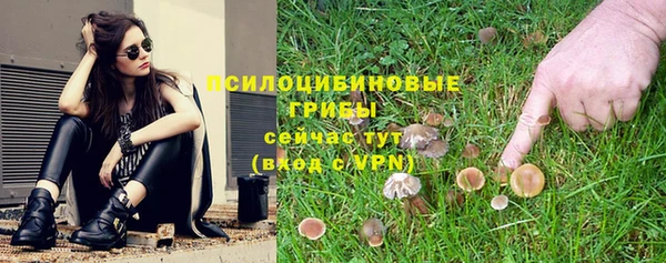 PSILOCYBIN Баксан