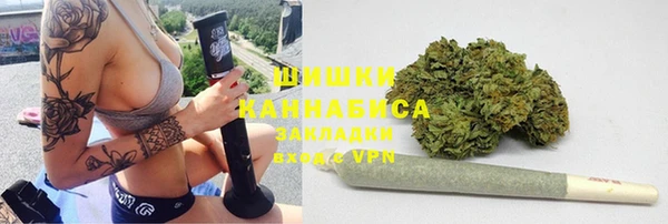 PSILOCYBIN Баксан