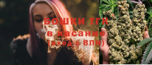шишки Балахна